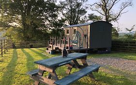 The Peacock Shepherds Hut At Hafoty Boeth